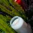 Bolsius: Grablicht Nr. 3 100 % Reines Pflanzenöl