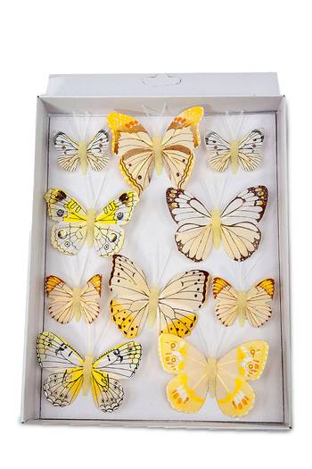 Steingaesser Feder Schmetterling gemischt - gelb (10 Stück)