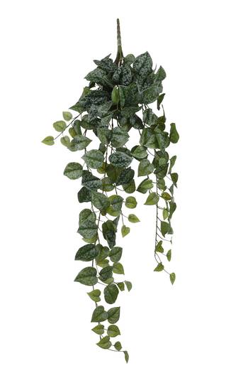 MICA Hängepflanze Scindapsus 86cm