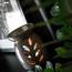Keramik Duftlampe "Blätter" 100/130mm (1 Stück) - grau